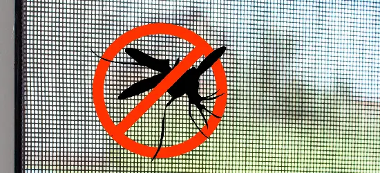 Mosquito net fitted on a window in Pune